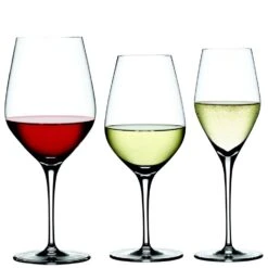 Spiegelau Authentis Vinglas-set Bordeaux / Vitvinsglas / Champagneglas