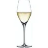 Spiegelau Authentis Champagneglas 1 Spiegelau Authentis Champagneglas -Fina Vinglas image 1387