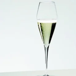 Riedel Vitis Champagne Vinglas -Fina Vinglas image 4045