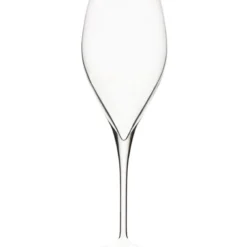Vinalies Champagneglas 30 Cl
