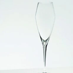 Riedel Vitis Champagne Vinglas -Fina Vinglas image 674